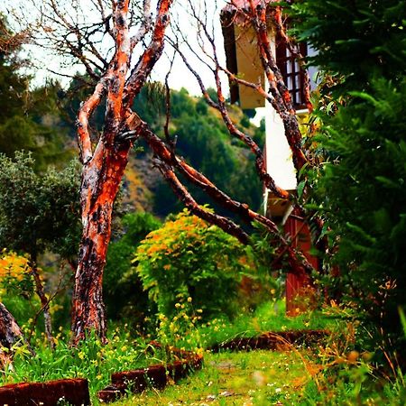 Hotel El Refugio グアランダ エクステリア 写真