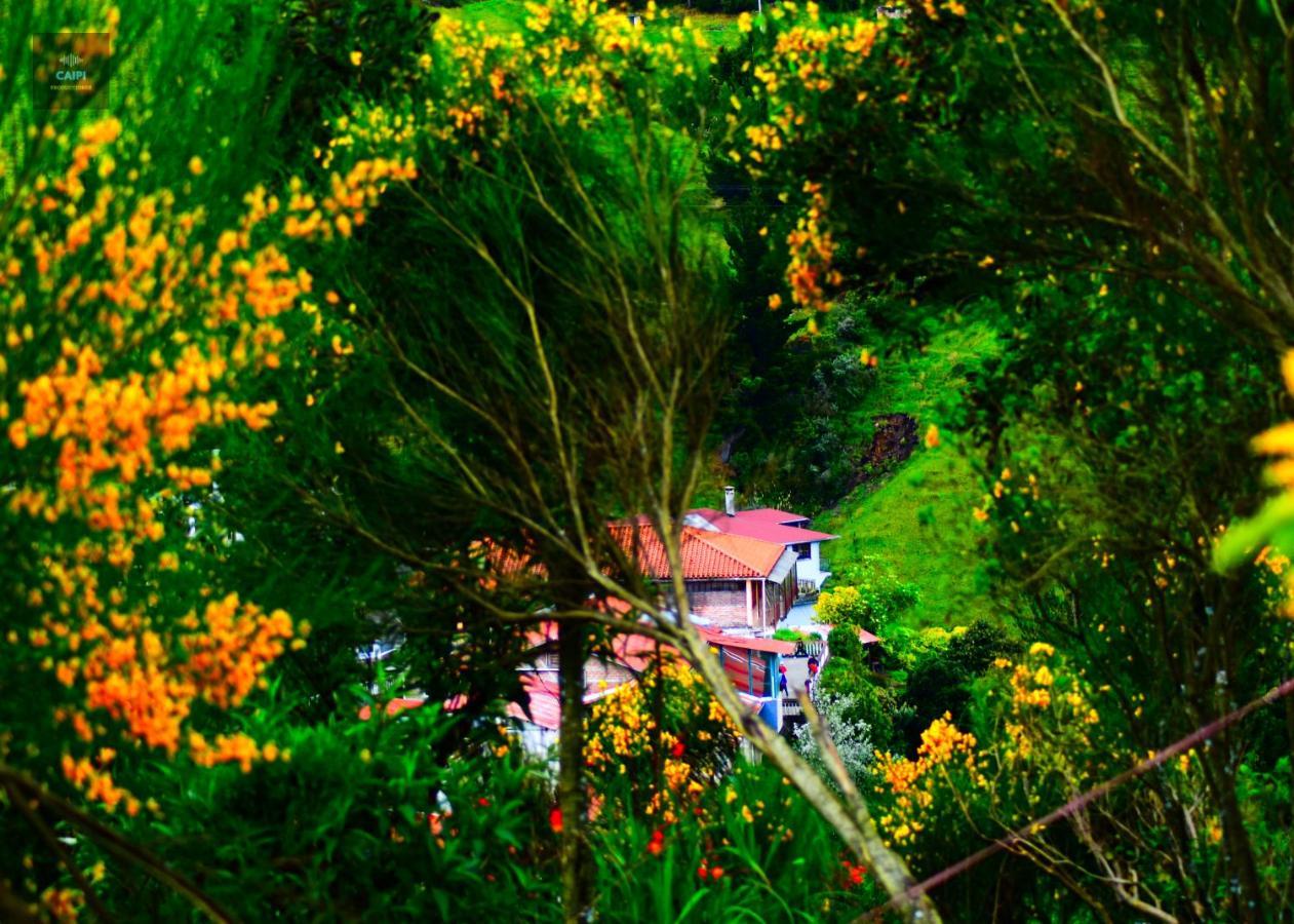 Hotel El Refugio グアランダ エクステリア 写真